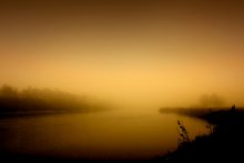 Disappearing into the fog ... / ***