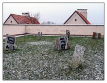 Still life is not our yard ... / ***