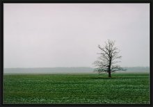 about winter and the loneliness / ***