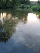 walk at sunset (... Jacobian of Sukhumi) / ***