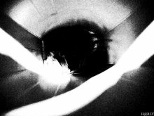 silence of the lambs / ***