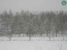 Snow, snow ... / ***