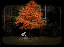 Cyclist and Fall / ***