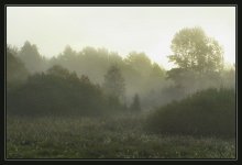 fogs / ***