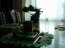longing for the Belarusian / ***
