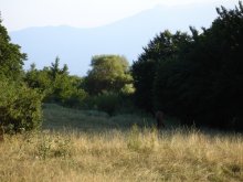 on the meadow, the parking lot / ***