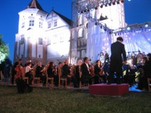 "The night of opera in the Mir Castle" / ***