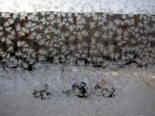 winter fluff / ***