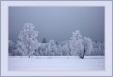 Winter silence / ***