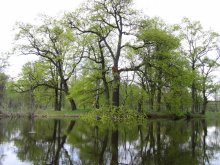 Small river / ***