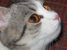 Musya Posing / ***