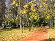 Autumn Park / ***