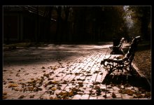 - morning. benches. - / ***