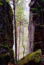 Karelian motif / ***
