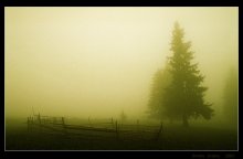 Carpathian Tale Part II - misty / ***