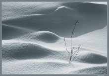 The texture of a winter (On Snow Dunes) / ***