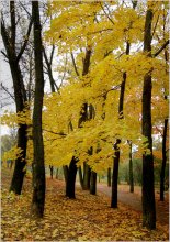 In Minsk, October ... # 3 / ***