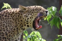 Monday Morning / ***