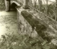 Bridge in the past century / ***