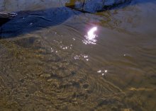 footprint on the water. / ***