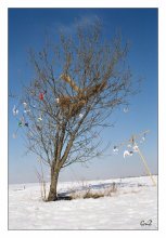 In anticipation of spring ... / ***