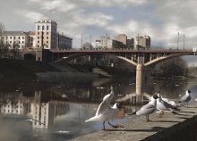 Vitebsk gulls, or view the Kirov bridge. / ***