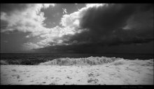 sea b / w / ***