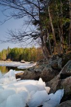 Last winter refuge / ***