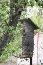 Family concerns / ***