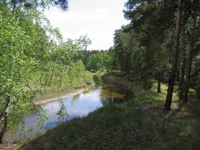 River Kurtamysh / ***