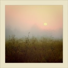morning dream ... / ***