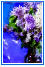 Lilac. Sketch 3 / ***