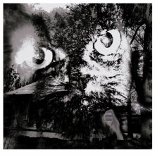 Shadow of the burnt houses / ***