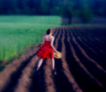 .. The girl, turning the field ... / ***