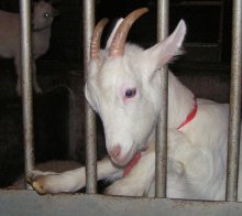 Save Our Souls ... / ***