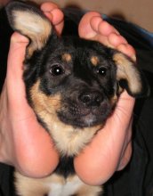 That's got ....! / ***