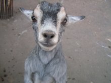 And here I am ... did not expect? :) / ***