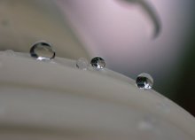 Face of reality / ***