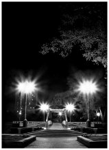 "Avenue of Stars" / ***