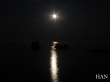 I saw the sea ... / ***