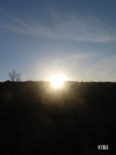 Between Heaven and Earth / ***