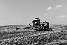 Battle of the crop / ***