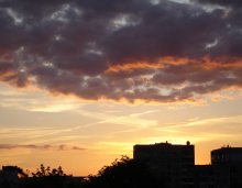 golden evening / ***