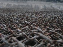 Russian field / ***