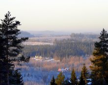 Frosty landscape / ***