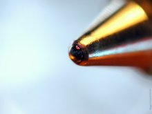 Macro to handle / ***
