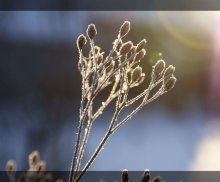 By the sun ... / ***