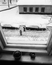 out the window / *****