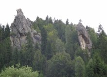 Fangs of the nature / ***