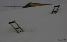 when grow wings ... / ***